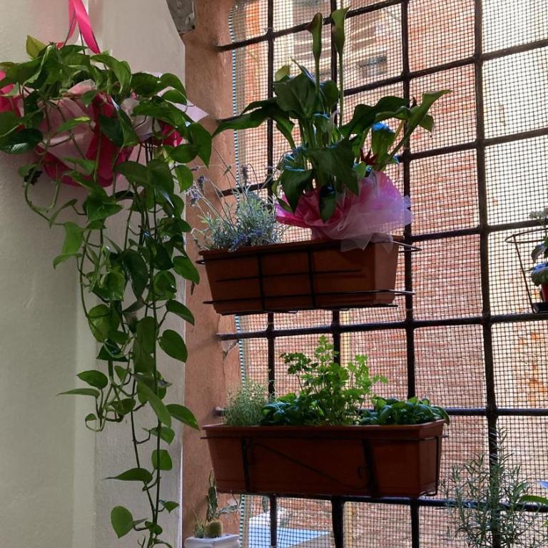 The Clock Tower Apartment - Appartamento con 2 Camere da Letto - 27