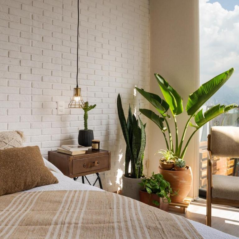 Cozy, Bright & Organic Apt in tradicional Laureles - One-Bedroom Apartment - 1