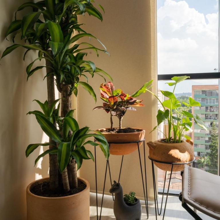 Cozy, Bright & Organic Apt in tradicional Laureles - One-Bedroom Apartment - 22