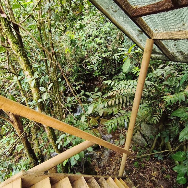 Finca AVALON Alejandria Antioquia - Cabaña con vistas al jardín - 26