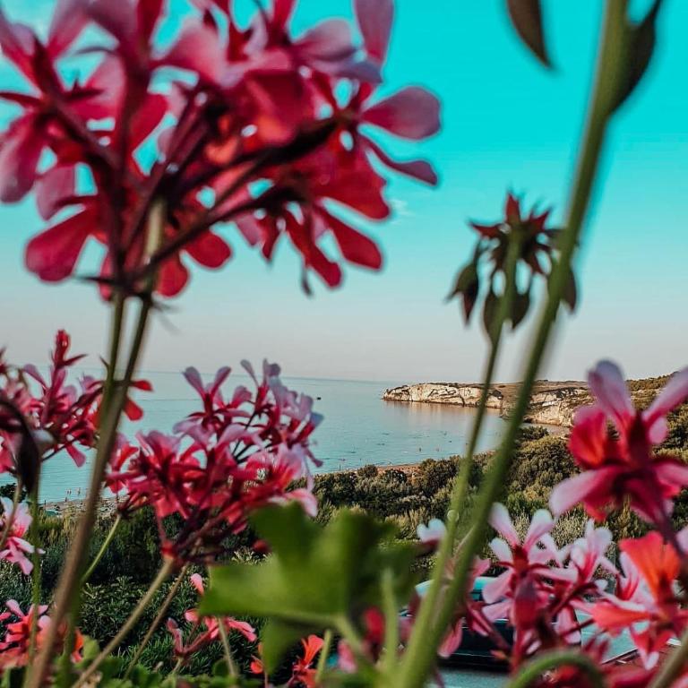 Case vacanze Baia del Gargano - Studio Apartment with Sea View - 3