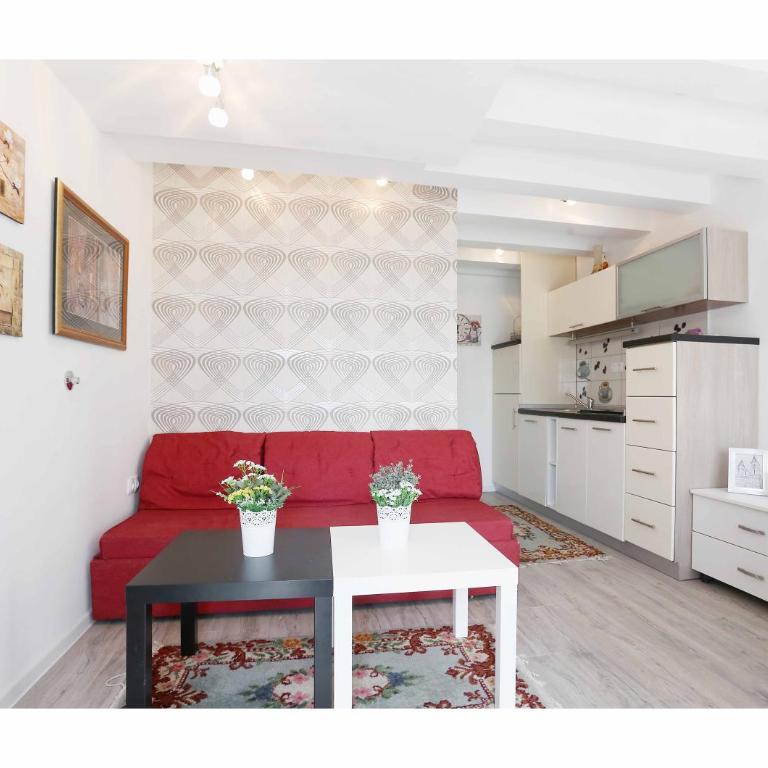Sarajevo Apartments No.5 - Apartman sa 1 Spavaćom Sobom i Pogledom na Vrt - 4