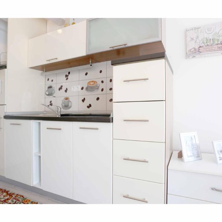 Sarajevo Apartments No.5 - Apartman sa 1 Spavaćom Sobom i Pogledom na Vrt - 5