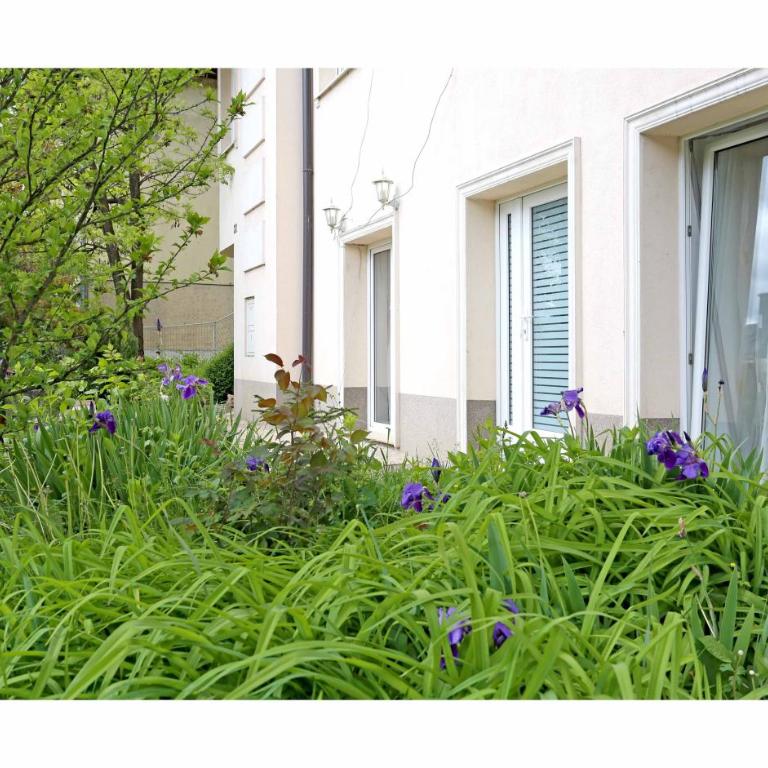 Sarajevo Apartments No.5 - Apartman sa 1 Spavaćom Sobom i Pogledom na Vrt - 23