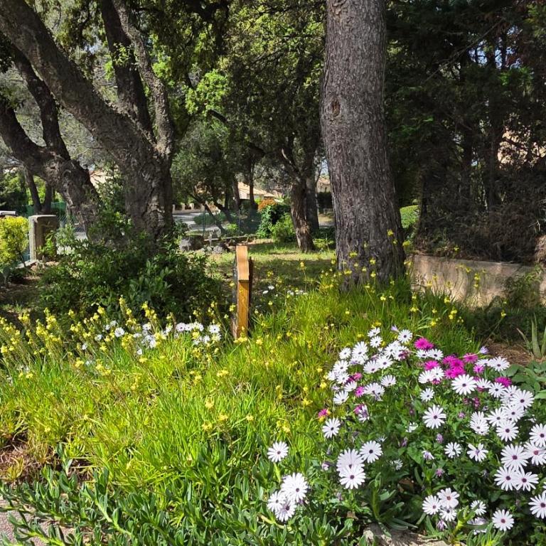 Entire ground floor in beautiful villa - Casa de 2 dormitorios - 14