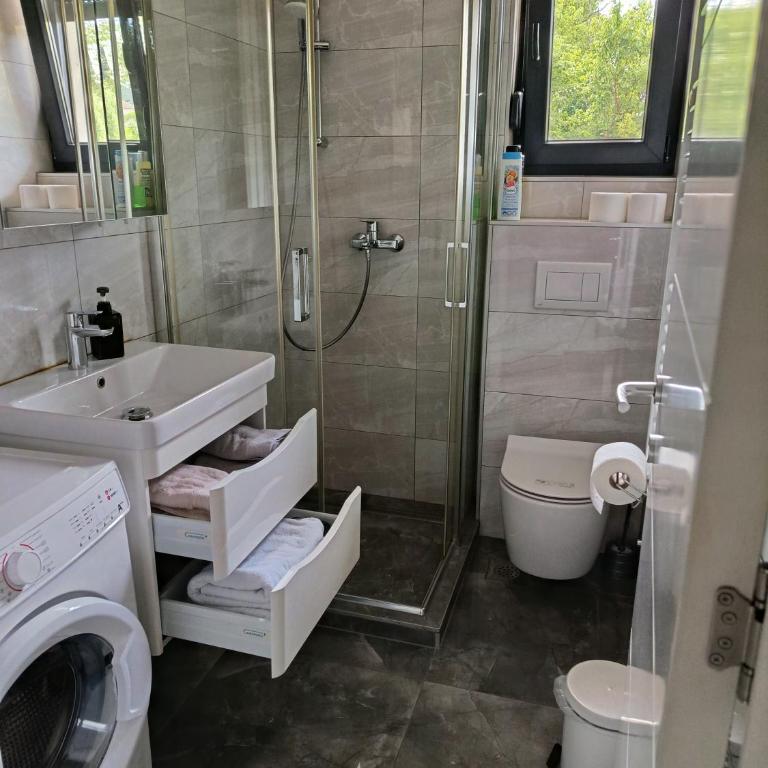 Kosmaj - Apartman sa 1 Spavaćom Sobom - 8