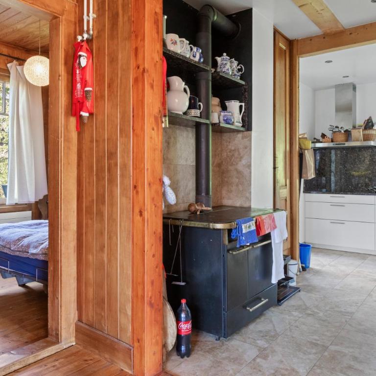Grand chalet rustique à Gryon, avec vue et cheminée - Chalet - 15