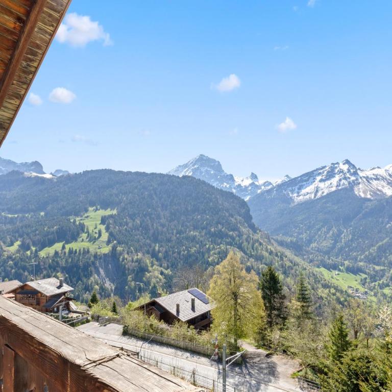 Grand chalet rustique à Gryon, avec vue et cheminée - Chalet - 28