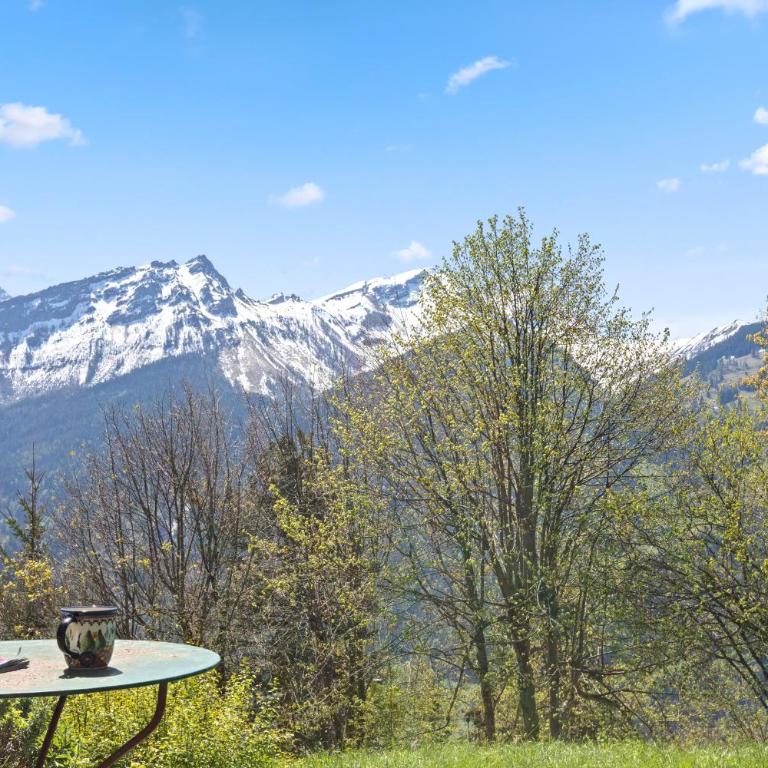 Grand chalet rustique à Gryon, avec vue et cheminée - Chalet - 34