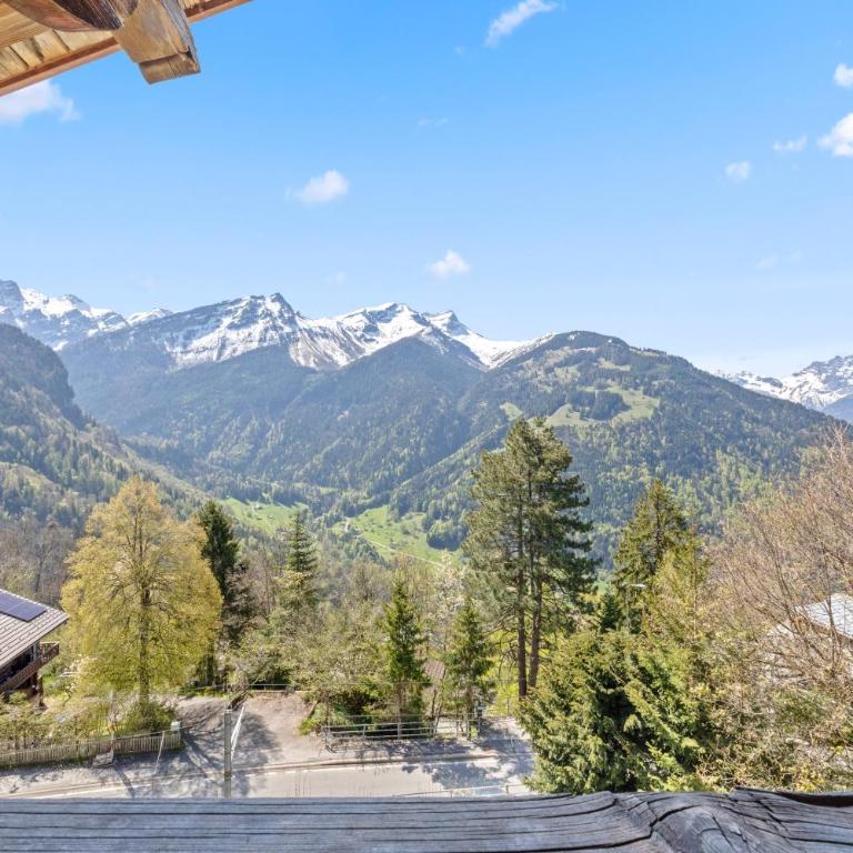 Grand chalet rustique à Gryon, avec vue et cheminée - Chalet - 41