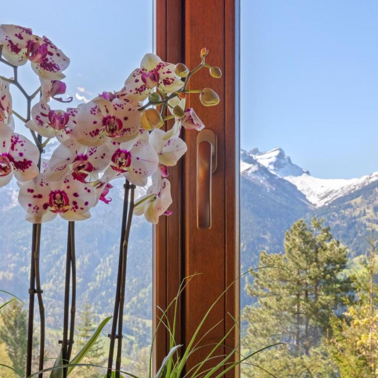 Grand chalet rustique à Gryon, avec vue et cheminée - Chalet - 5
