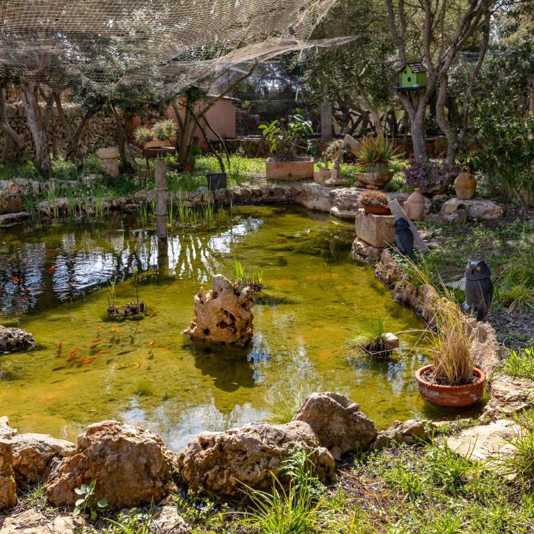 Sa Bassa Llova by dracmallorca - Casa de 3 dormitorios - 33
