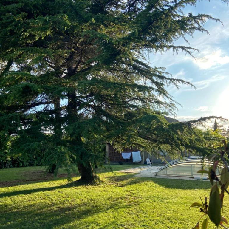 Les Mourguettes maison familiale avec piscine et garage sur 2000 m2 de terrain en campagne - Maison 7 Chambres - 8
