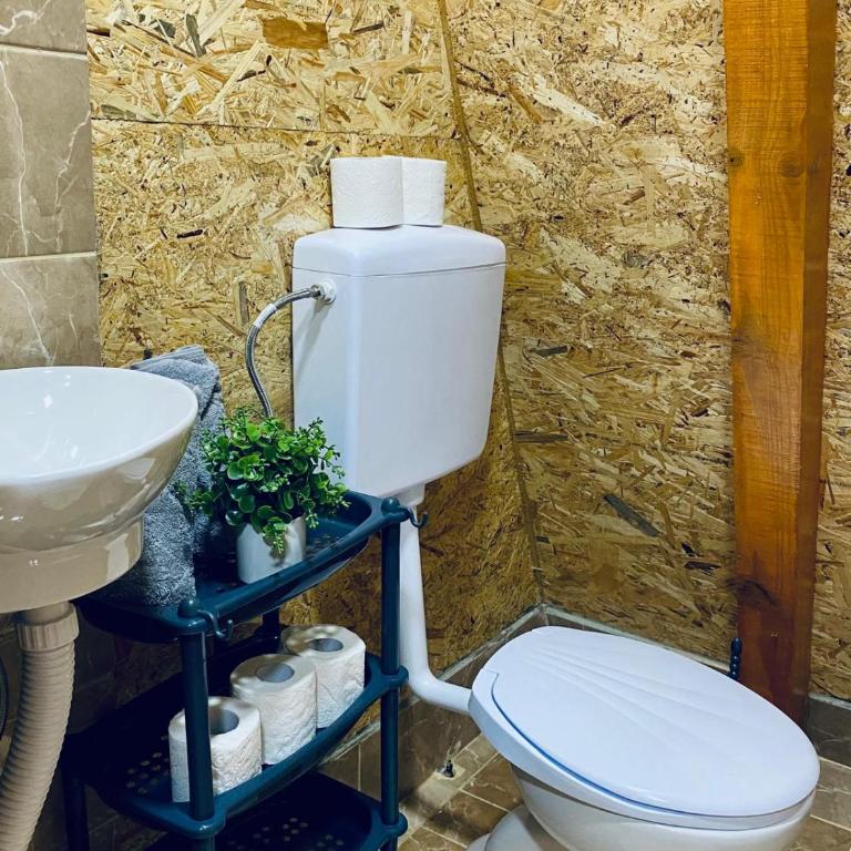 Visoko Pyramid VALLEY - Apartman sa 1 Spavaćom Sobom - 29