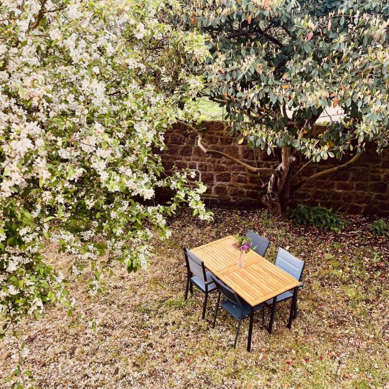 Gigi La Roza - Haus mit 1 Schlafzimmer - 21