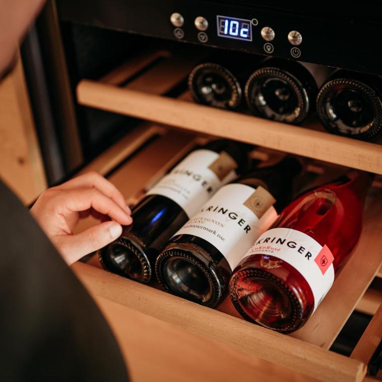 Winzerhäuser Skringer Wohnen im Weingarten - Maison 1 Chambre - 20