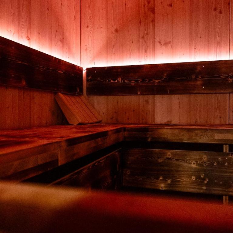 Ferienunterkunft mit Sauna direkt an der Skipiste - Apartment mit 1 Schlafzimmer - 9