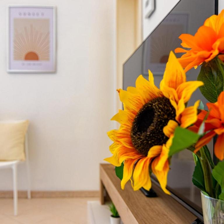 cvr 4- 2 Bedrooms near the Leaning Tower - Appartamento con 2 Camere da Letto - 26