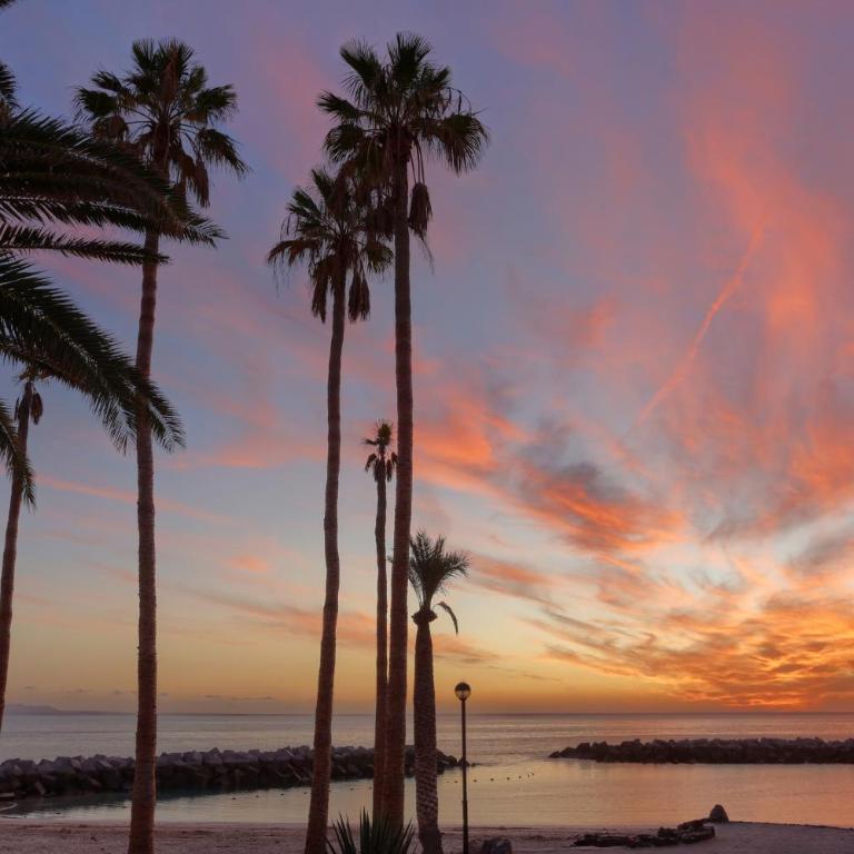 Playa Flamingo Bellavista - One-Bedroom Apartment - 3