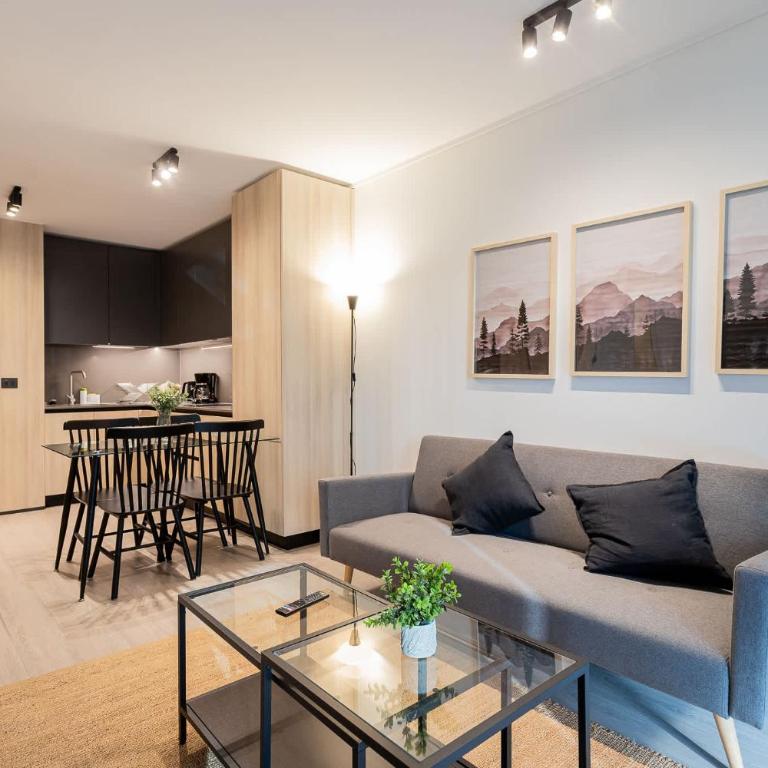 Spacious 1BR 1BA Ideal for 3 Las Condes - Apartamento - 1