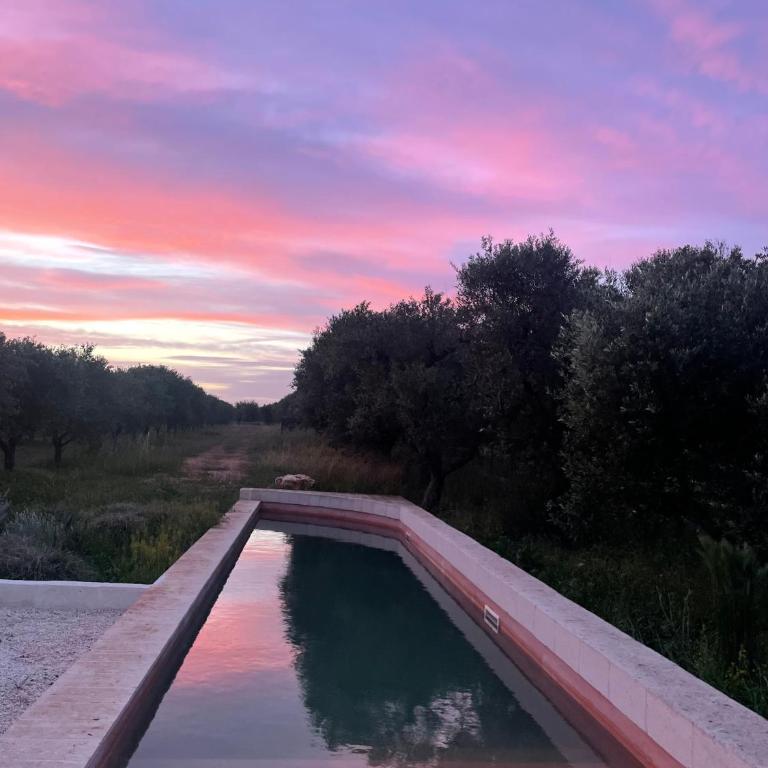 New Heated Pool Villa in Ostuni - Villa con 2 Camere da Letto - 30