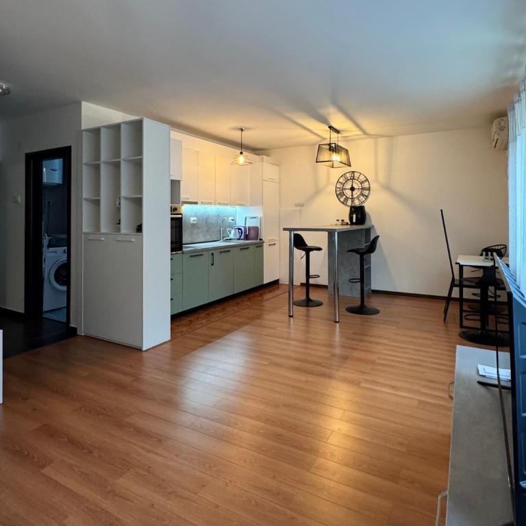 Alex Apartment Petrovac - One-Bedroom Apartment - 1
