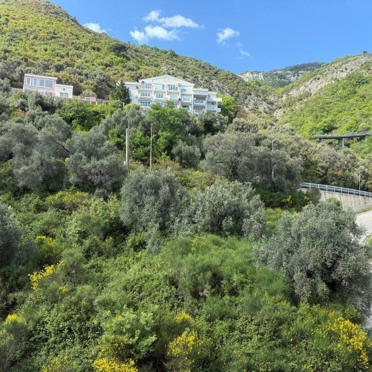 Alex Apartment Petrovac - One-Bedroom Apartment - 7