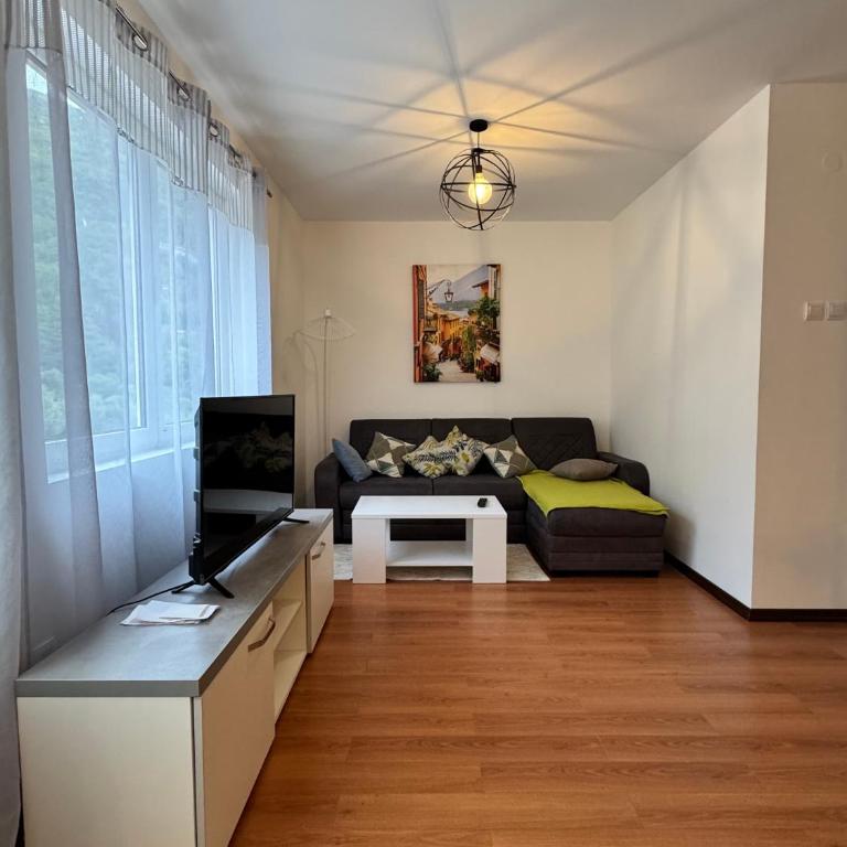 Alex Apartment Petrovac - One-Bedroom Apartment - 10