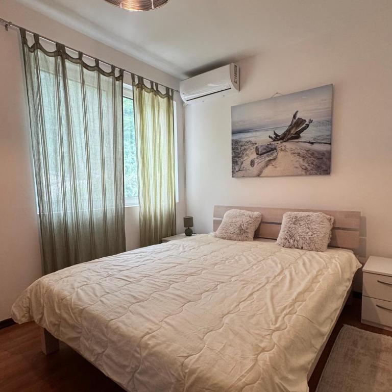 Alex Apartment Petrovac - One-Bedroom Apartment - 12