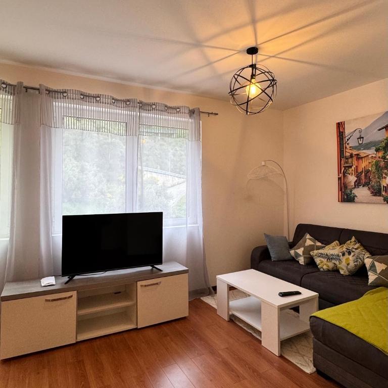 Alex Apartment Petrovac - One-Bedroom Apartment - 13