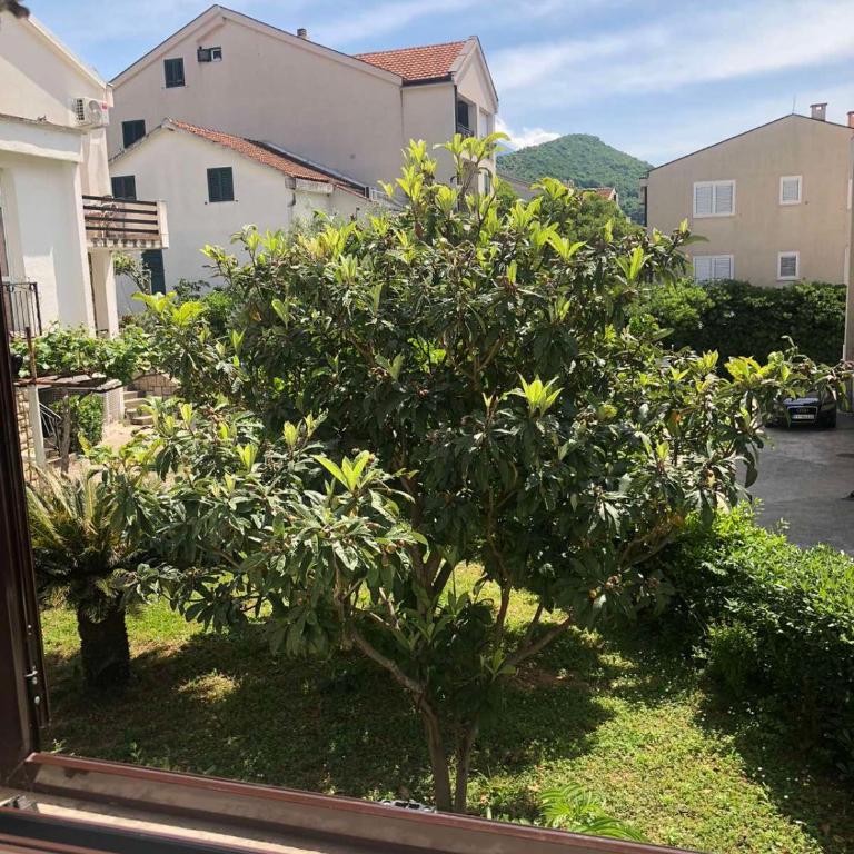 Apartmani Centar - One-Bedroom Apartment - 1