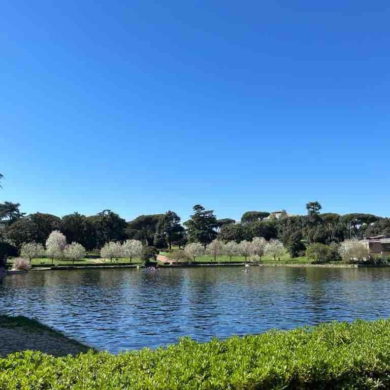 LiFe Home - New Apartment EUR Torrino - Appartamento con 1 Camera da Letto - 63