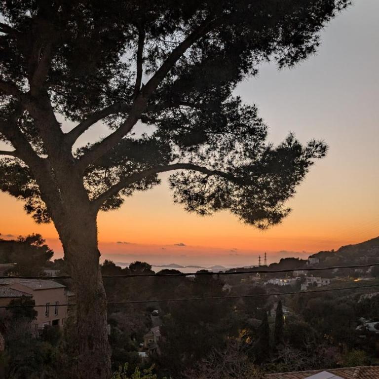 20 m2 studio dans les Calanques - Appartement 1 Chambre - 16