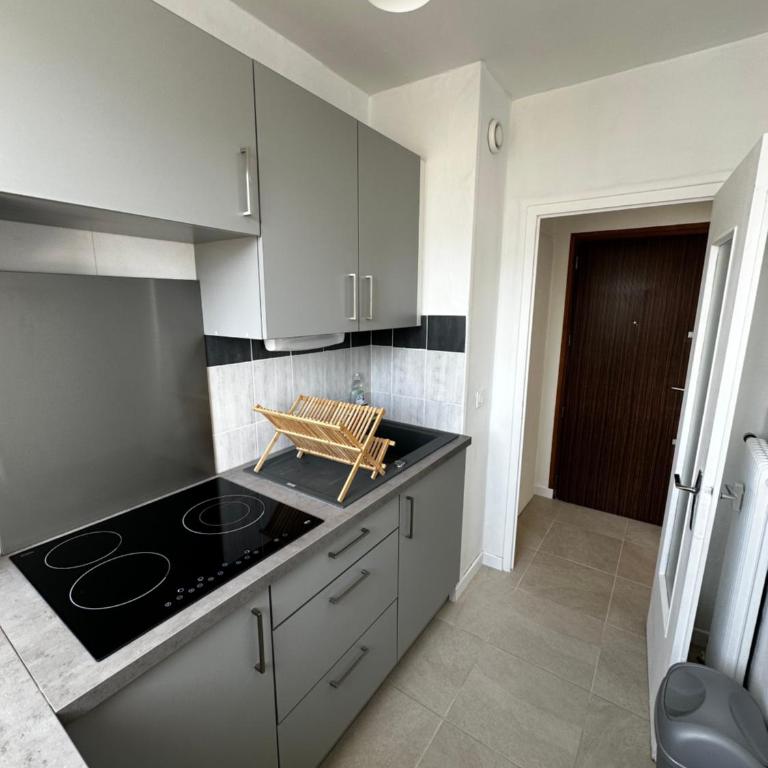 Super appartement plein centre - Apartamento de 1 dormitorio - 12