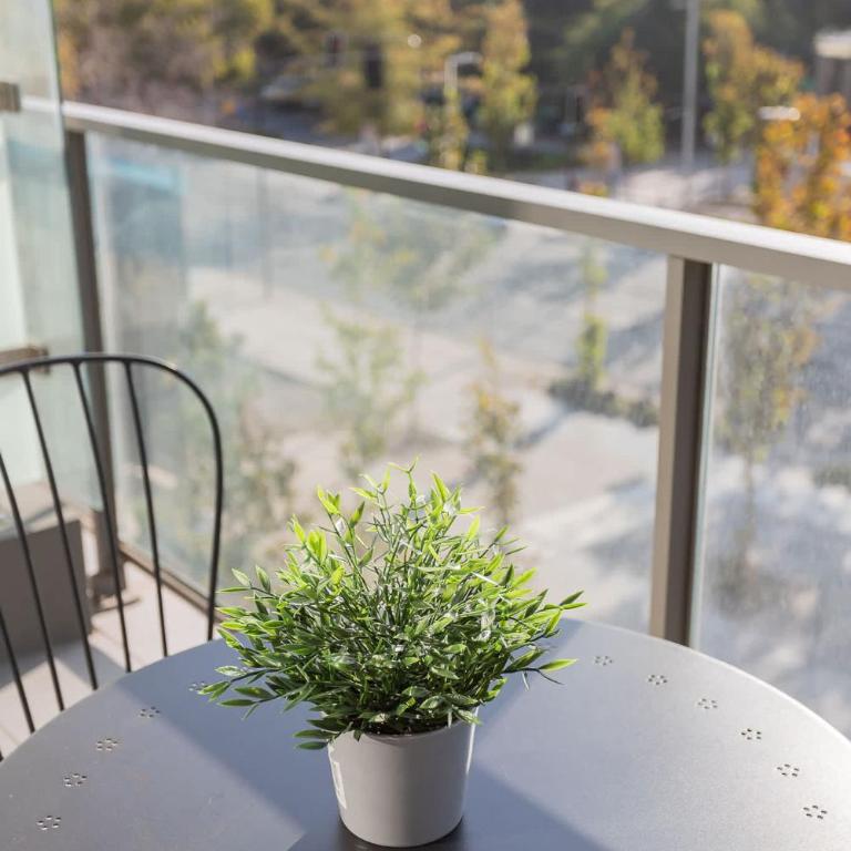 Spacious Retreat 1BE 1BA Prime Location - Apartamento - 21