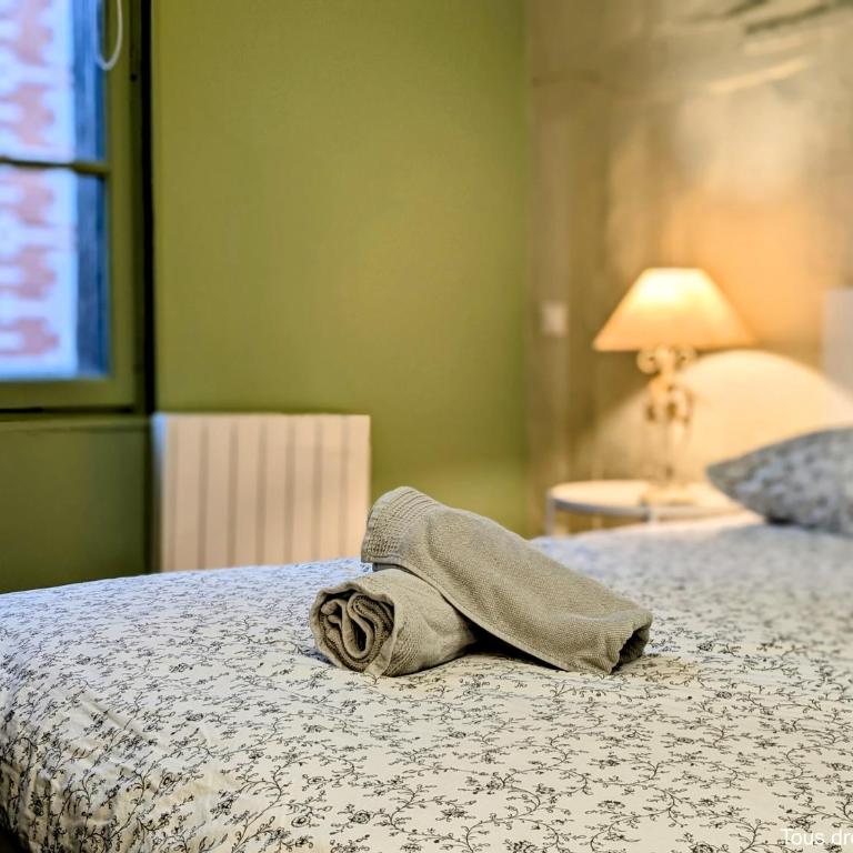 Le Bourgogne - Chambres privées cosy et rénovées avec douche - Centre historique - Habitación Doble con aseo compartido - 4