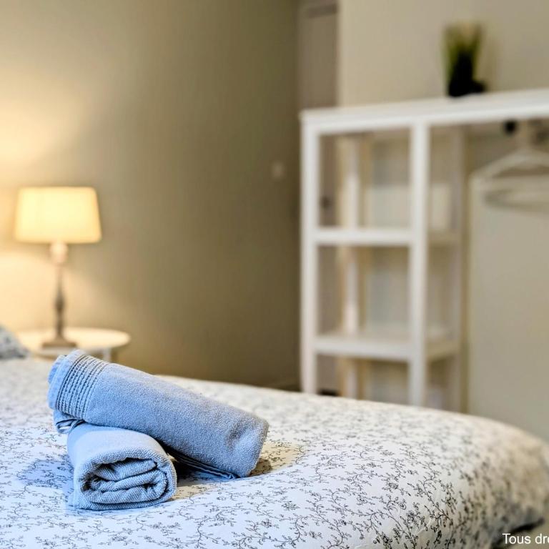 Le Bourgogne - Chambres privées cosy et rénovées avec douche - Centre historique - Habitación Doble con aseo compartido - 1
