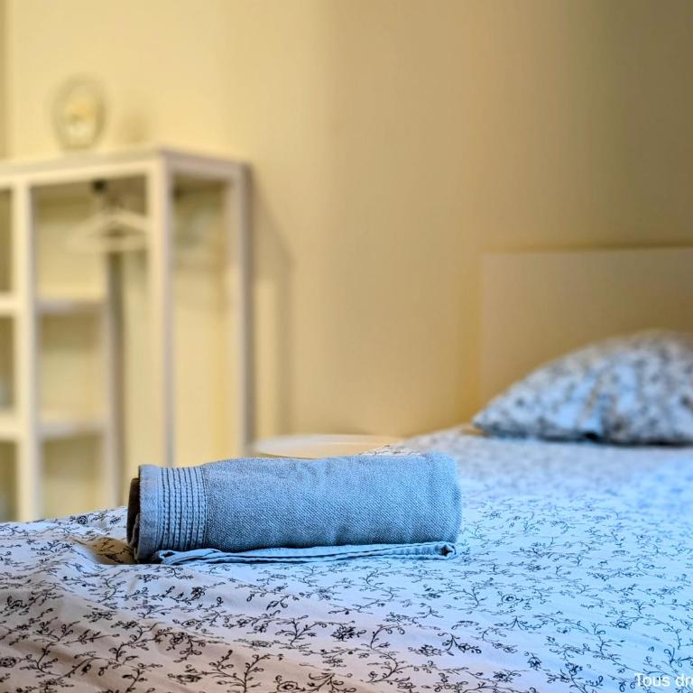 Le Bourgogne - Chambres privées cosy et rénovées avec douche - Centre historique - Habitación individual con aseo compartido - 1