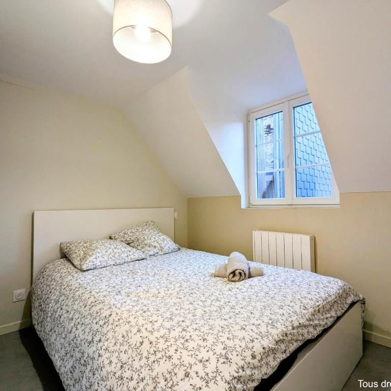 Le Bourgogne - Chambres privées cosy et rénovées avec douche - Centre historique - Habitación Doble con aseo compartido - 1