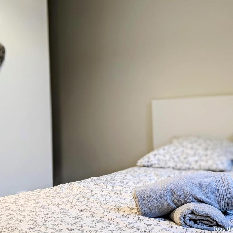 Le Bourgogne - Chambres privées cosy et rénovées avec douche - Centre historique - Habitación Doble con aseo compartido - 3