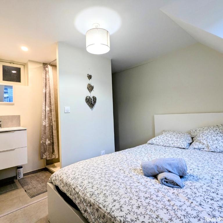 Le Bourgogne - Chambres privées cosy et rénovées avec douche - Centre historique - Habitación Doble con aseo compartido - 4