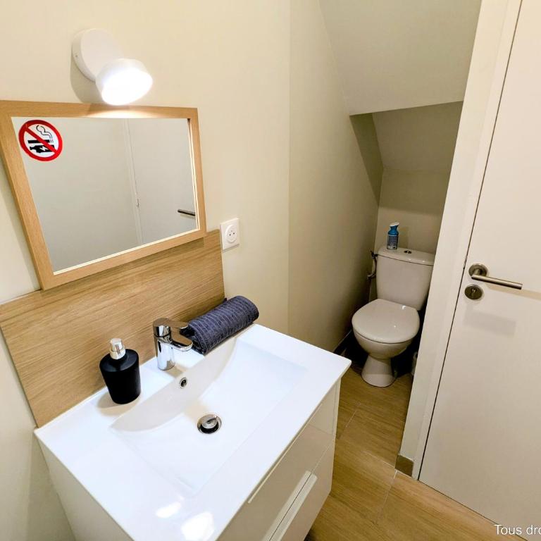 Le Bourgogne - Chambres privées cosy et rénovées avec douche - Centre historique - Habitación Doble con baño privado - 1