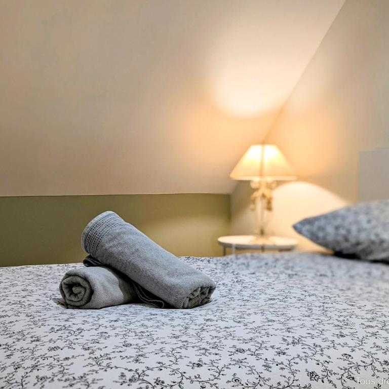 Le Bourgogne - Chambres privées cosy et rénovées avec douche - Centre historique - Habitación Doble con baño privado - 4