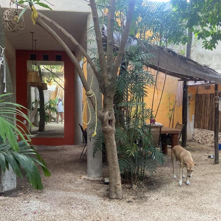 Quinta Salamandra - Doppelzimmer mit eigenem Bad - 10