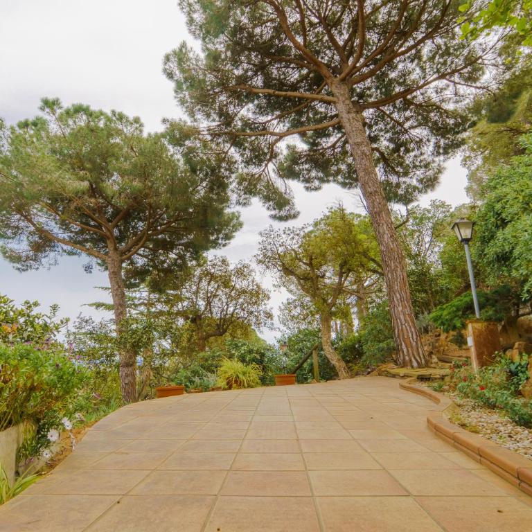 Villa in Tossa de Mar (Santa María de Llorell) - Villa de 2 dormitorios - 14