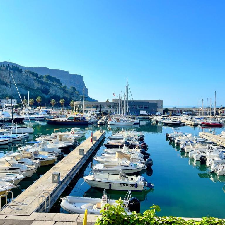 Le Palmyre - Apartment with Sea View - 1