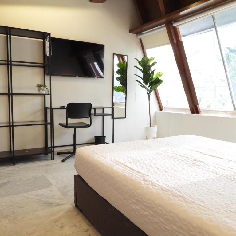 Singular Reforma - King Room with Private External Bathroom - 16