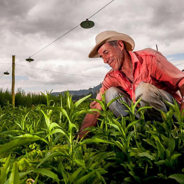 Restful & Stylish Suite Rionegro - One-Bedroom Apartment - 40