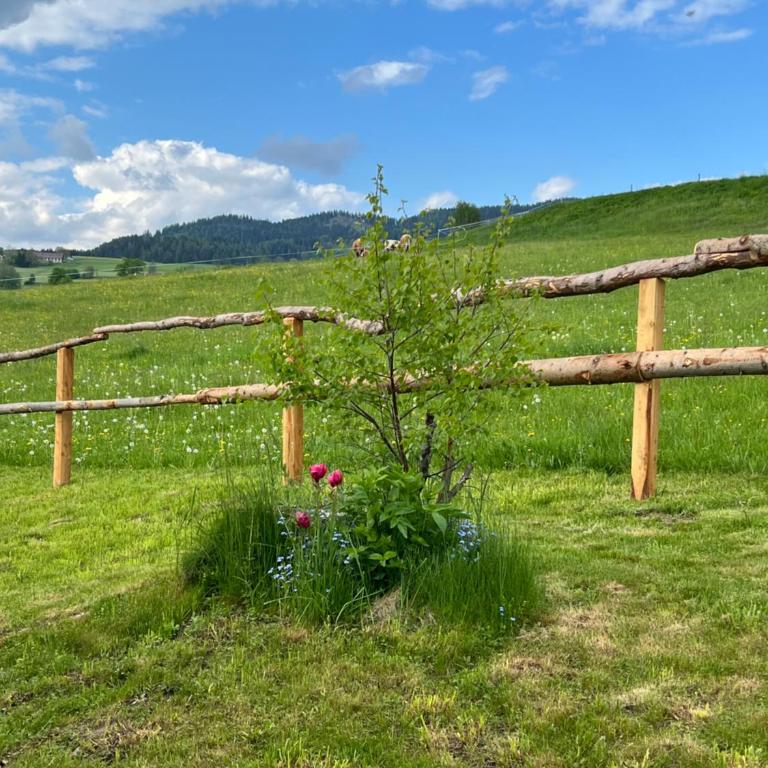 Ferienhäuschen in Mariahof - Apartment mit 1 Schlafzimmer - 17