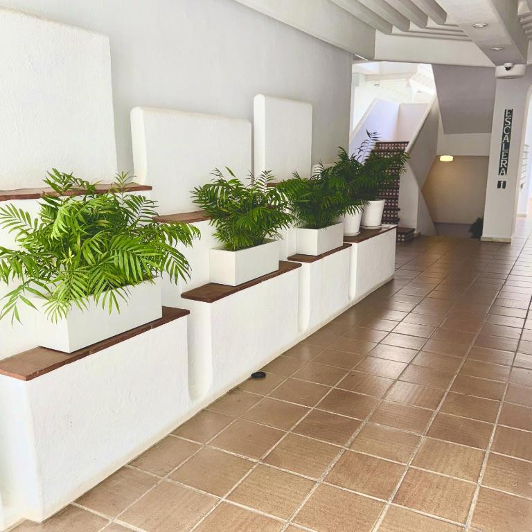 Amplio y luminoso apartamento en puerto banus - Apartamento - 3